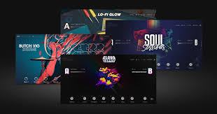 Native Instruments Play Serie Bundle